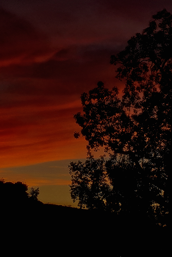 2025. NOVIEMBRE. TEMA: 